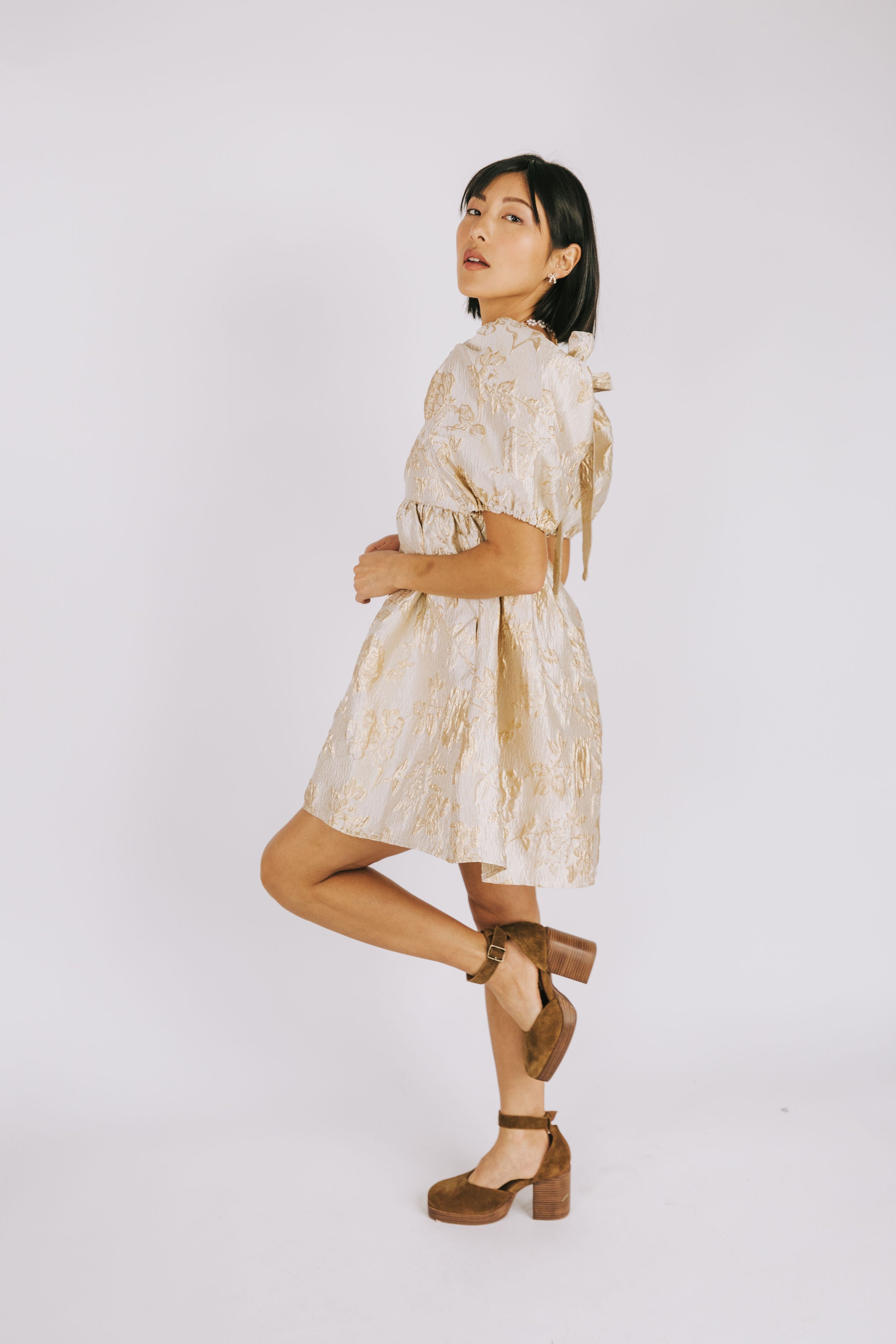Gilded Age Dress