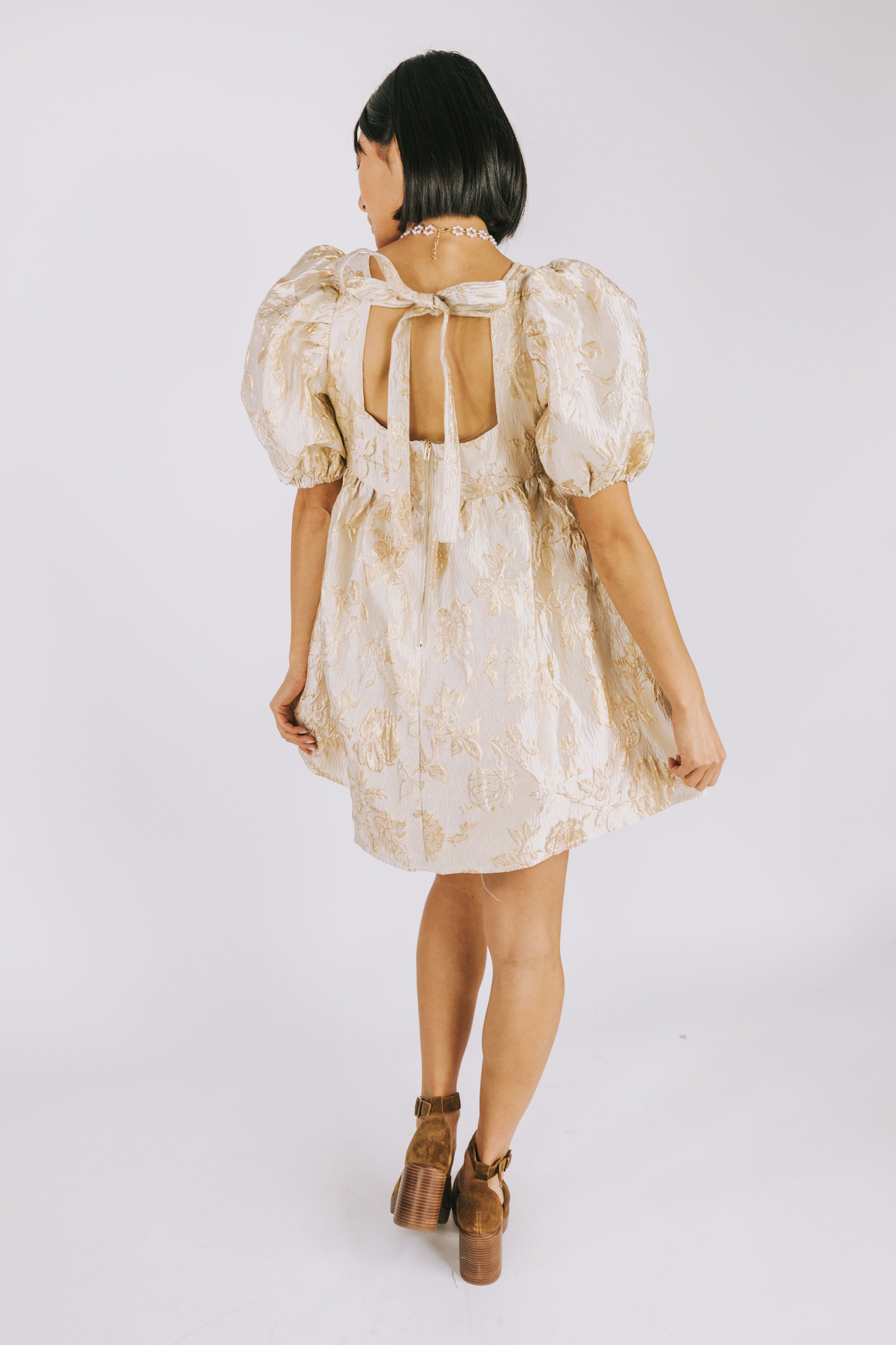 Gilded Age Dress