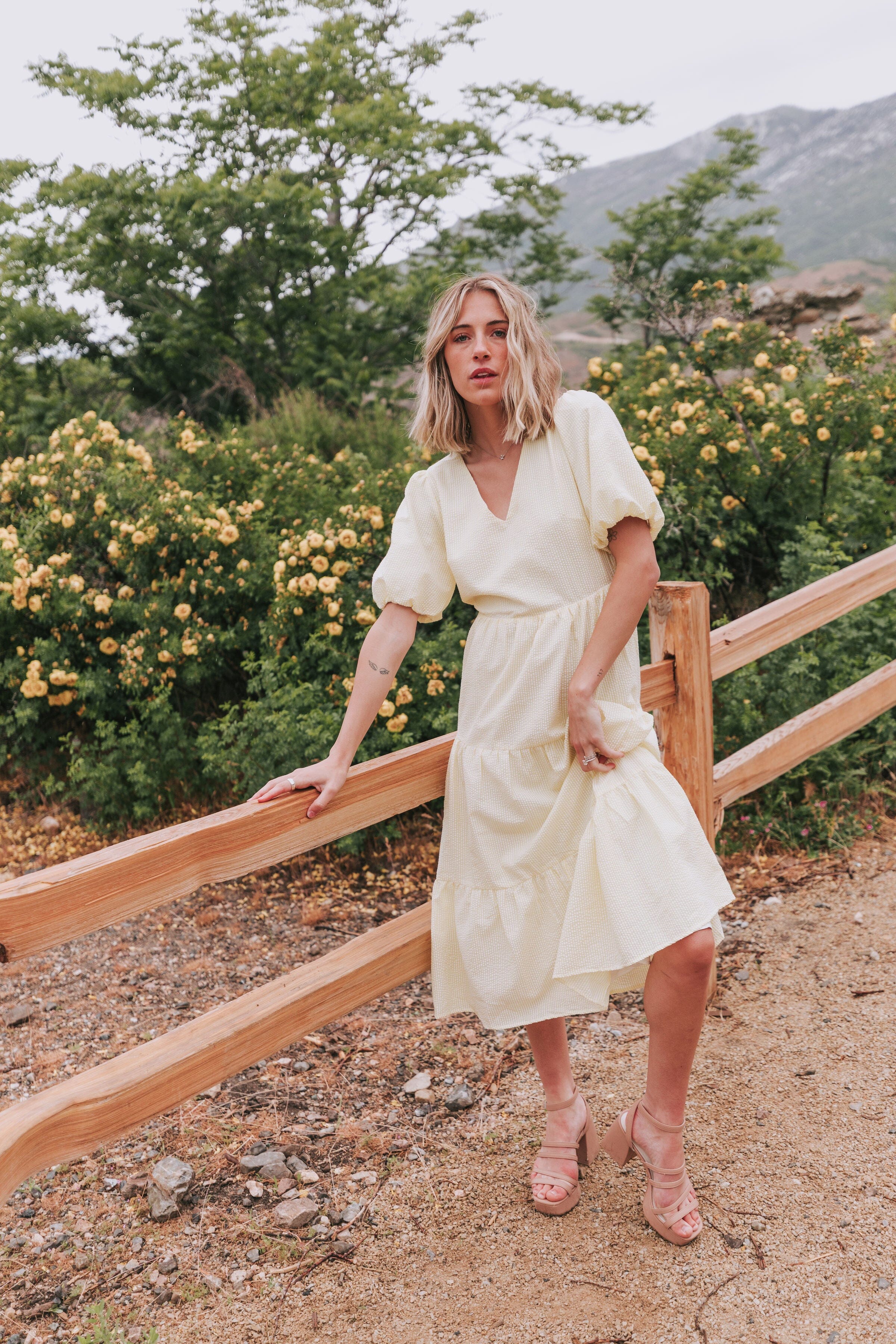 Wild Heart Dress