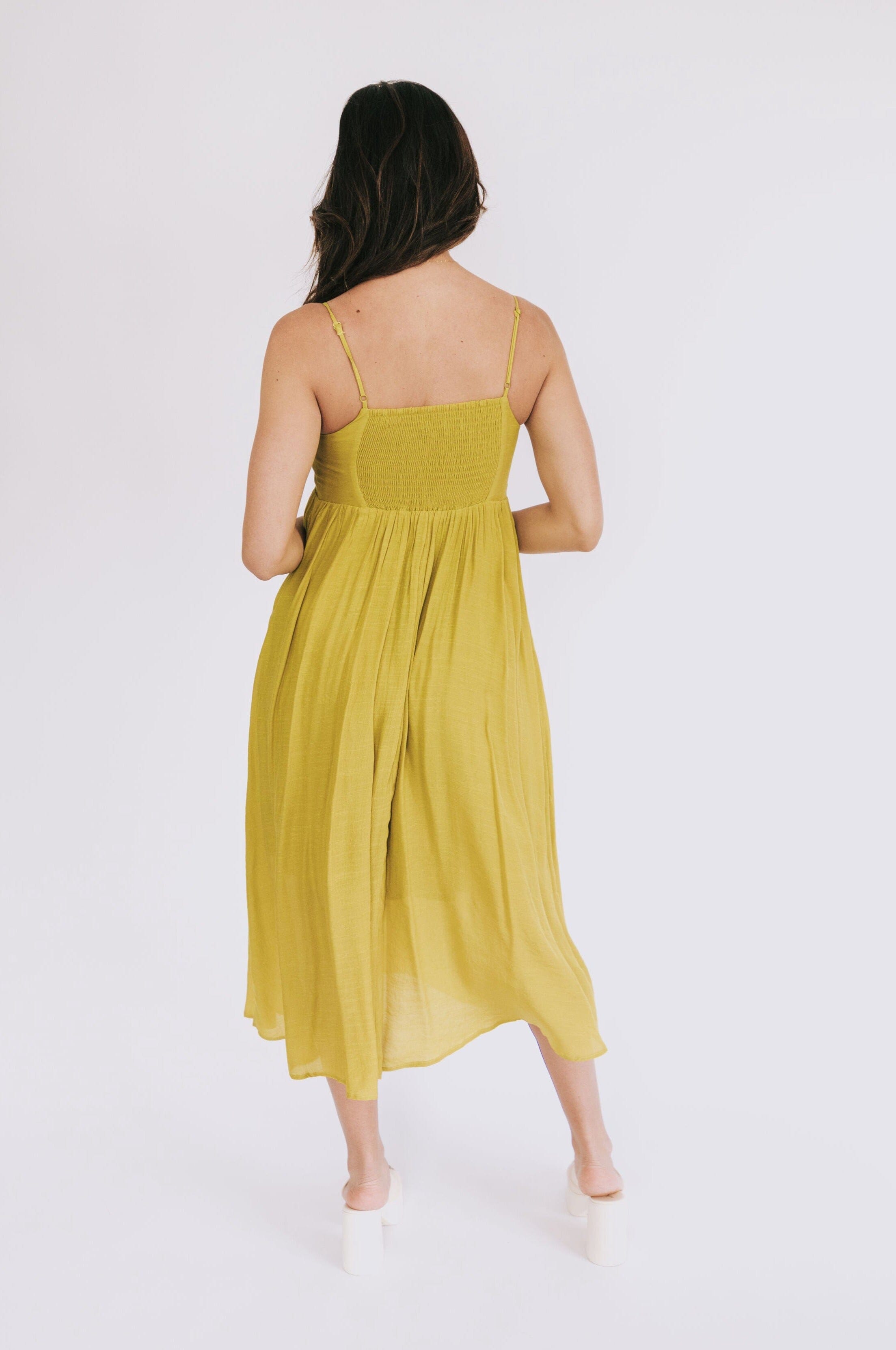 Picnic In The Park Dress