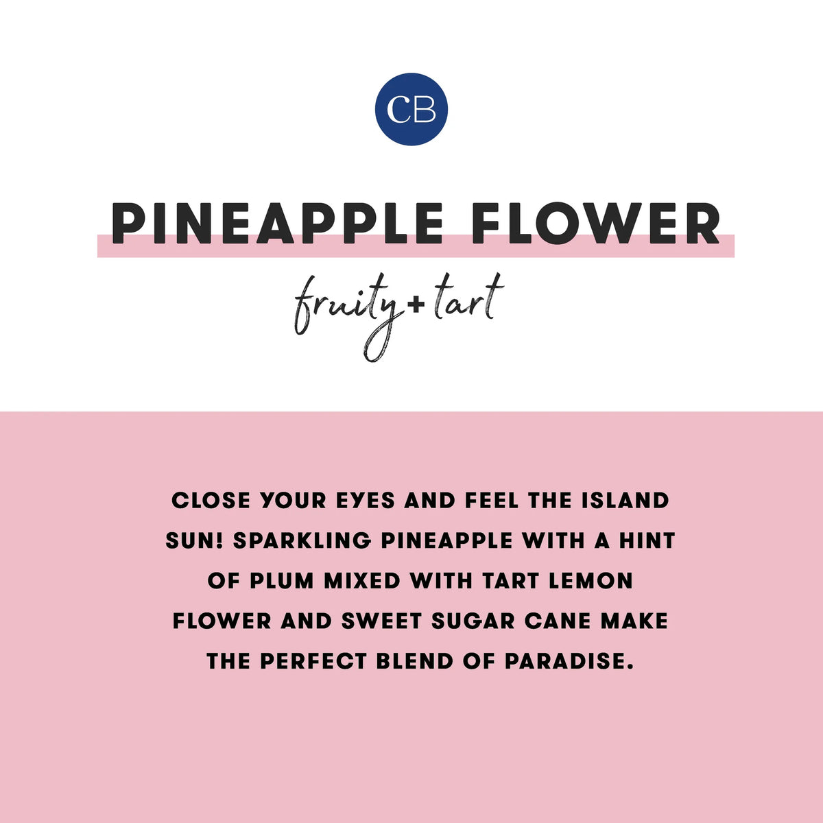 CAPRI BLUE - Pineapple Flower Pattern Play Travel Tin, 8.5 oz