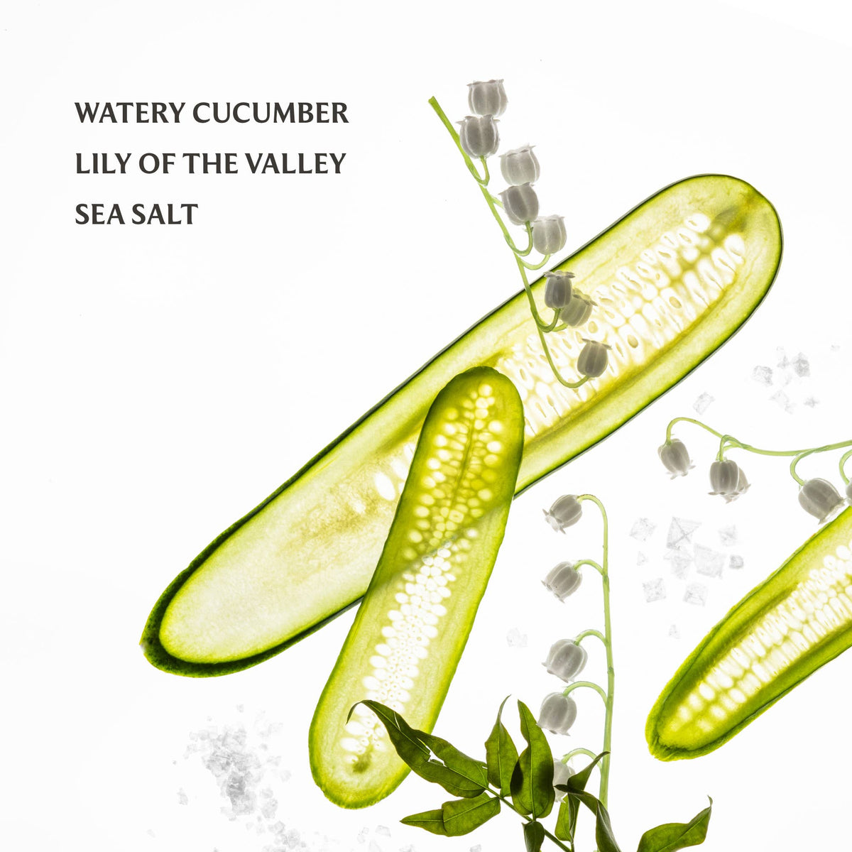 TOUCHLAND - Lily Of The Valley Gentle Mist Ultra-Soothing Hand Sanitizer
