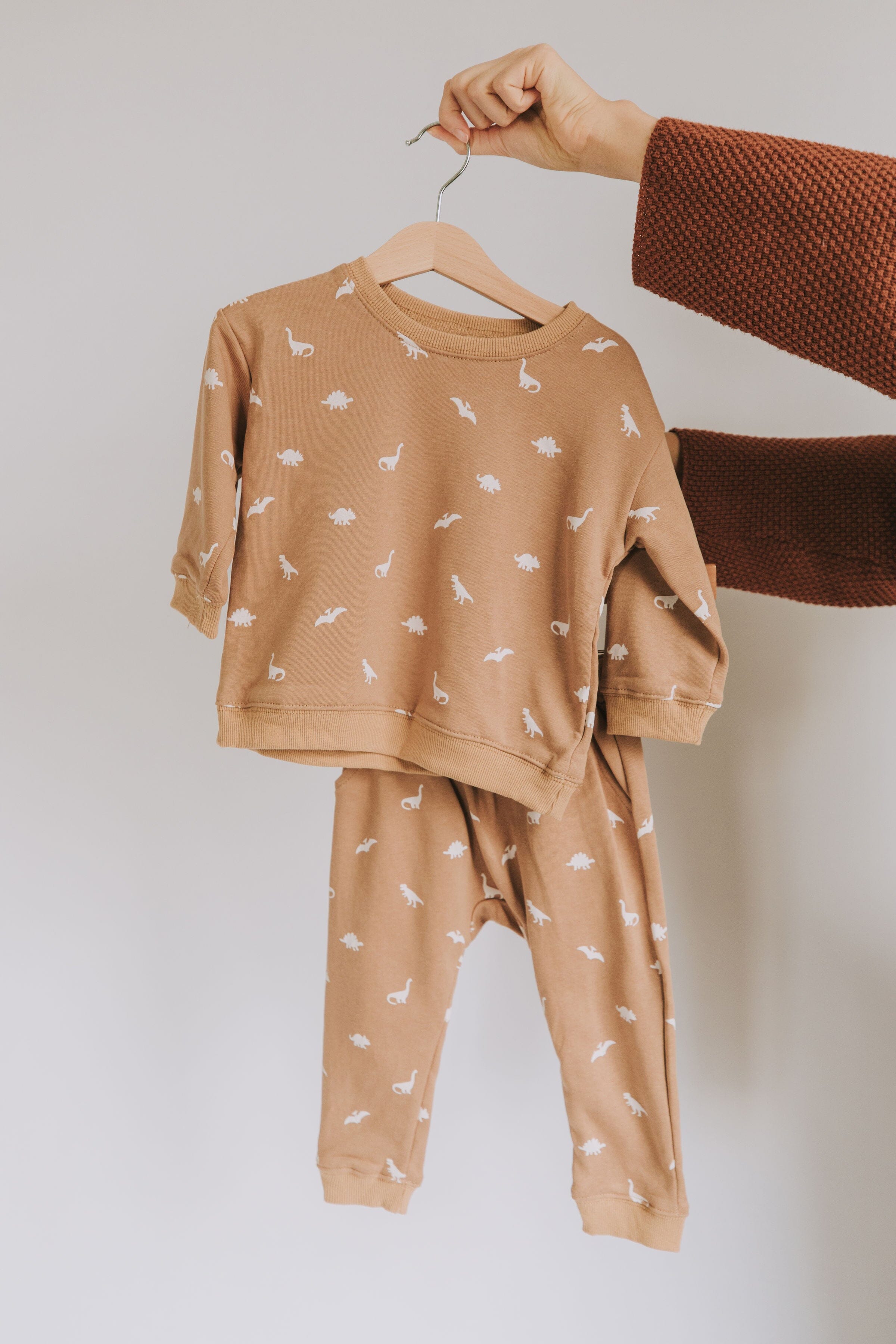 Dino-Mite Sweat Set