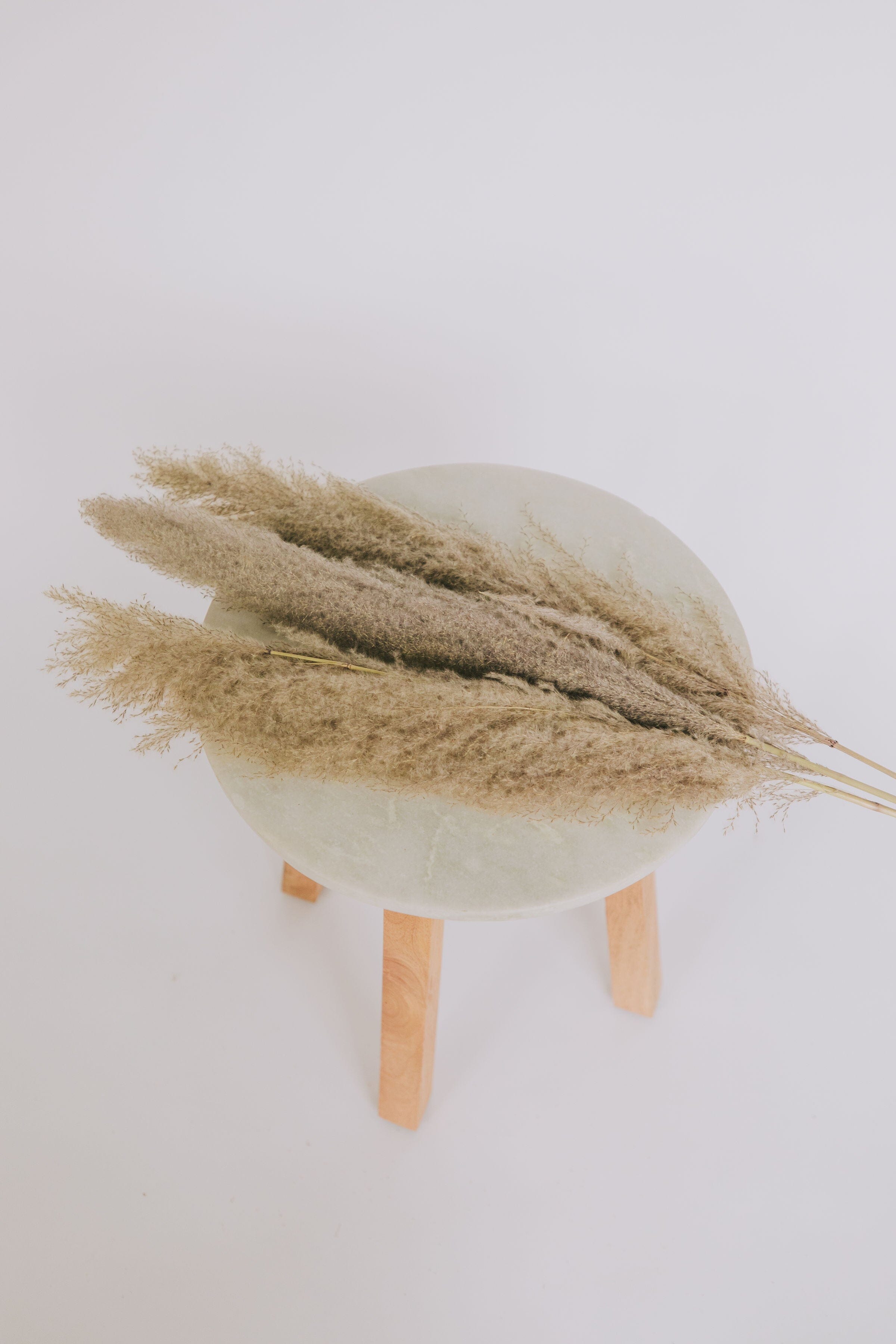 Dried Natural Pampas Grass Bunch
