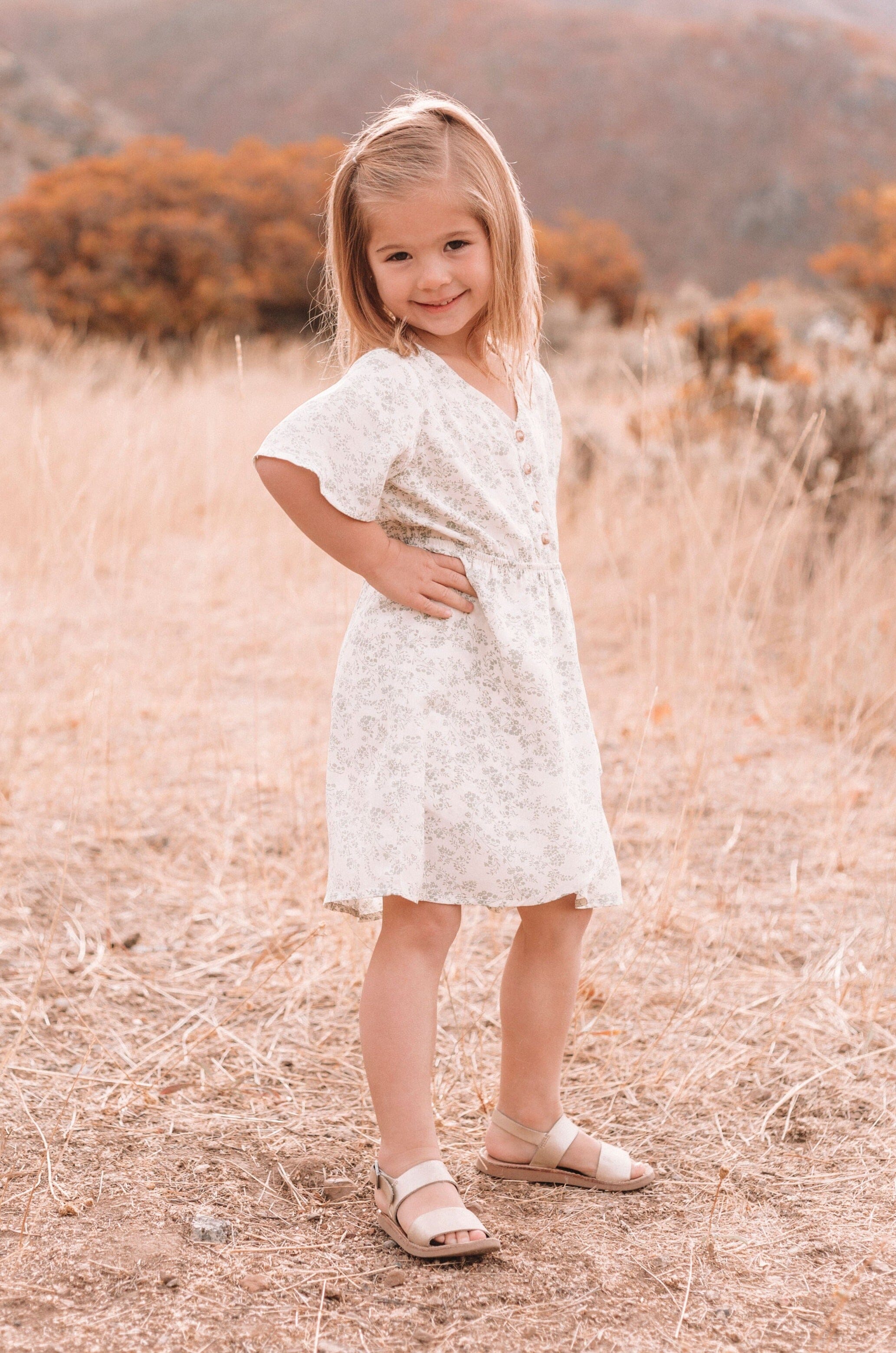 EXCLUSIVE - Mini Windsor Dress - 5 Colors
