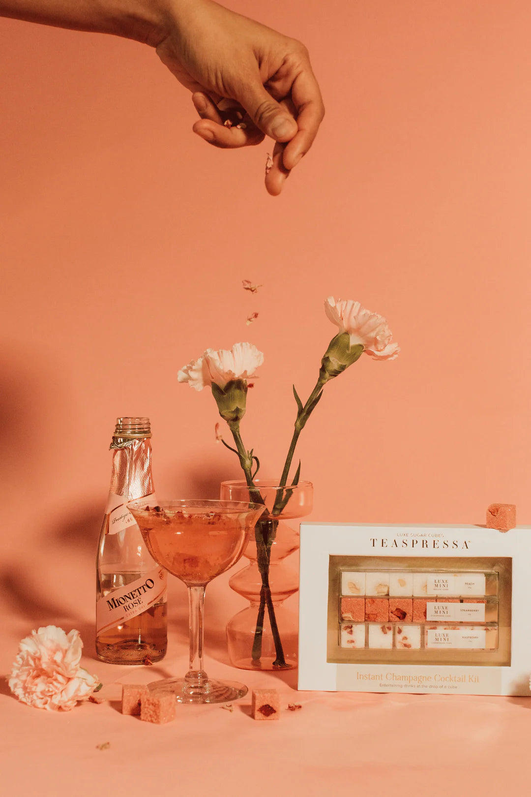 TEASPRESSA - Champagne Cocktail Mixer Kit