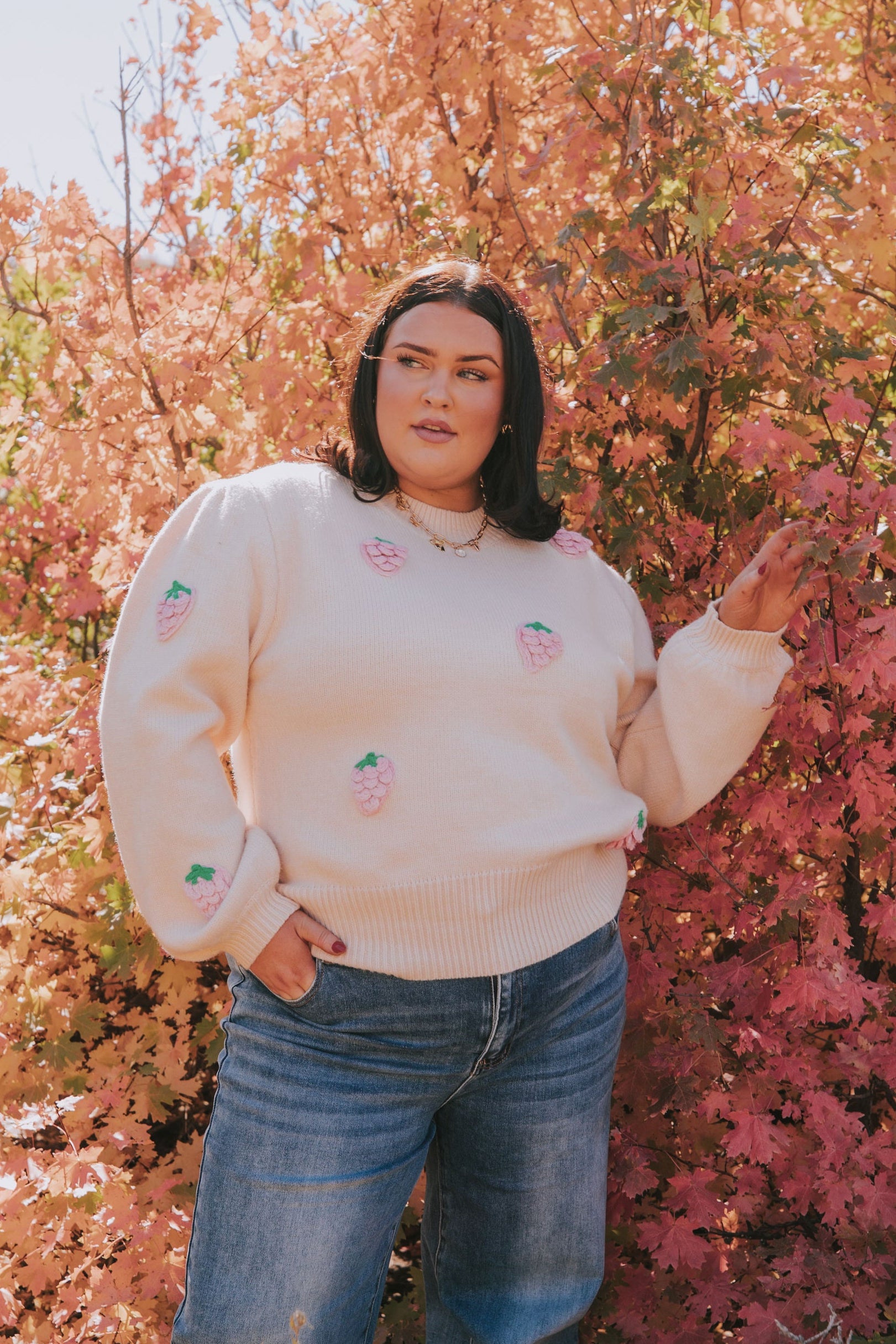 PLUS SIZE - Strawberries And Cream Sweater