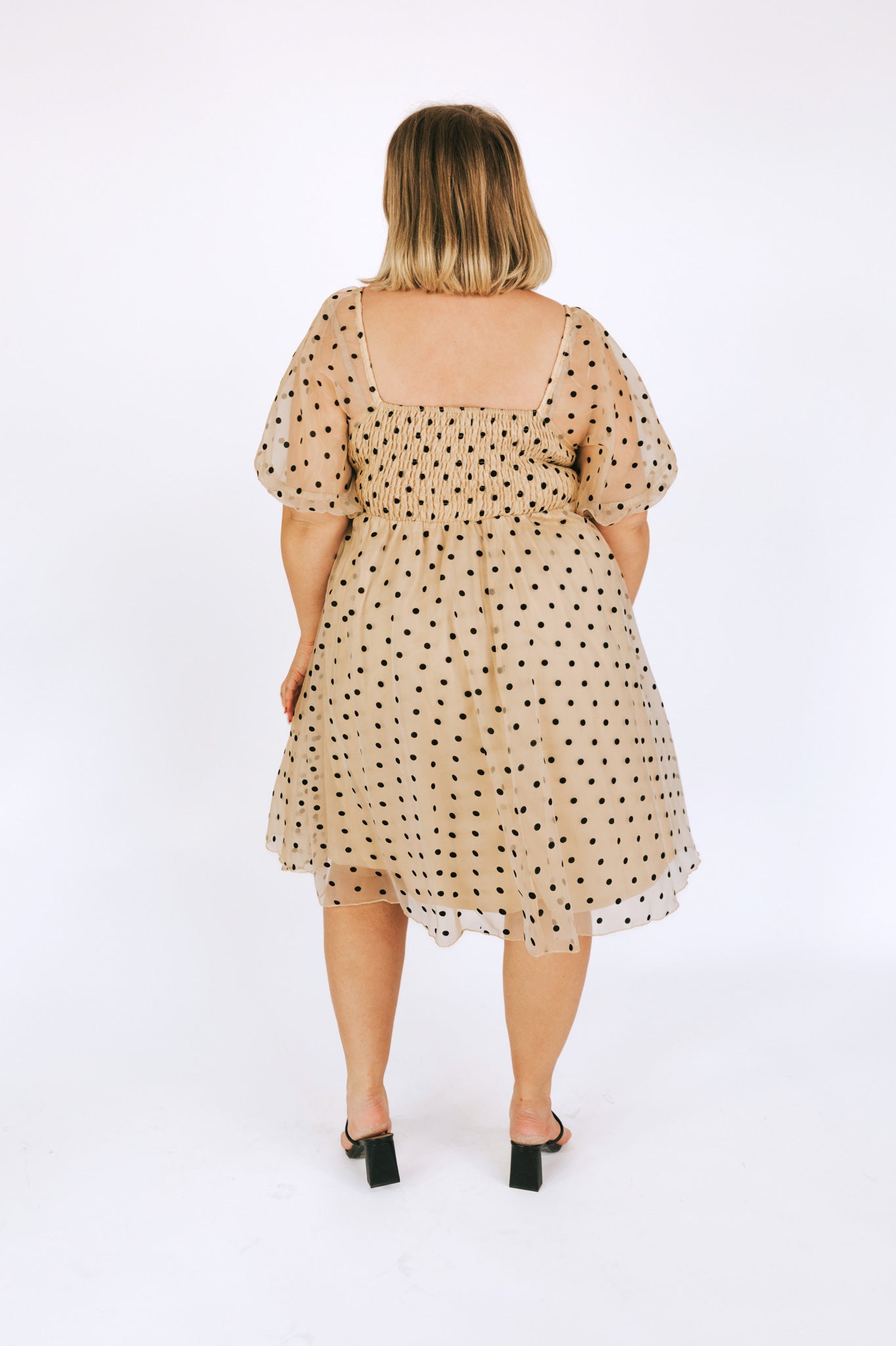 PLUS SIZE - At First Glance Dress