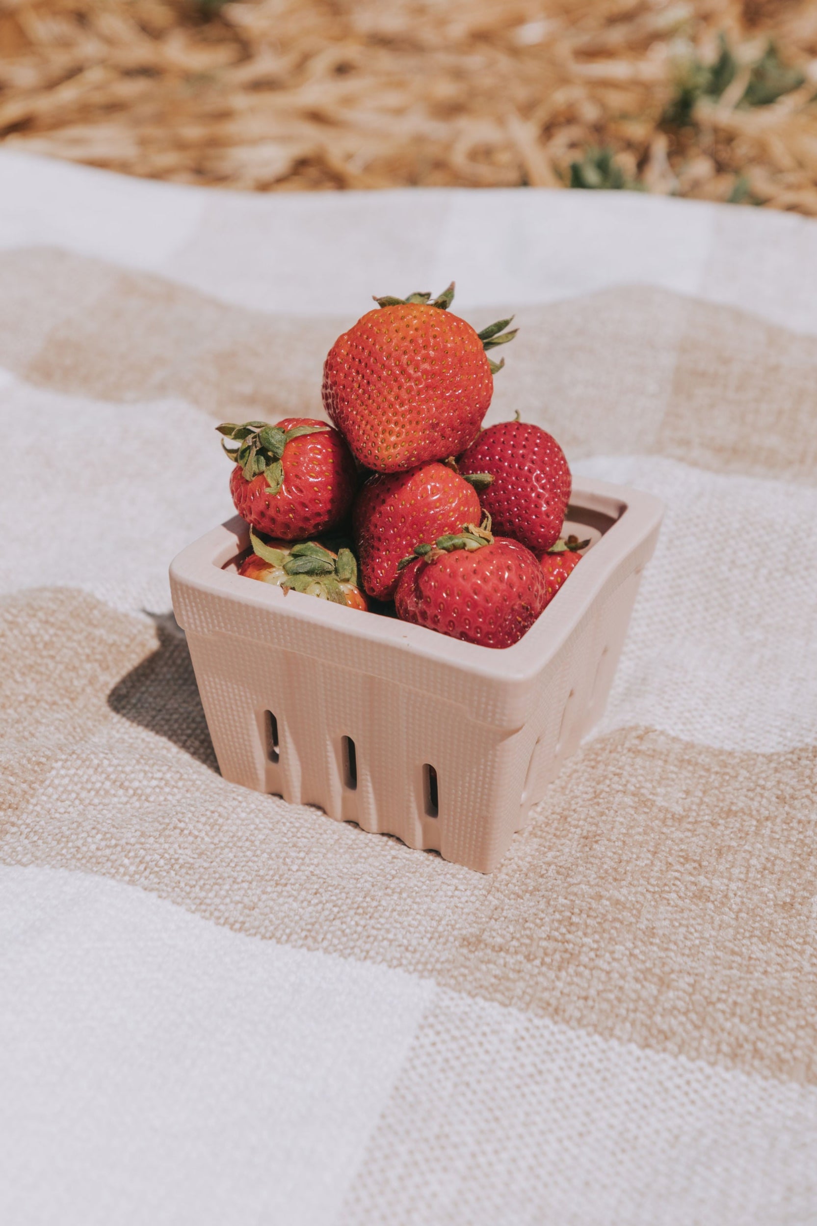 Textured Stoneware Berry Basket