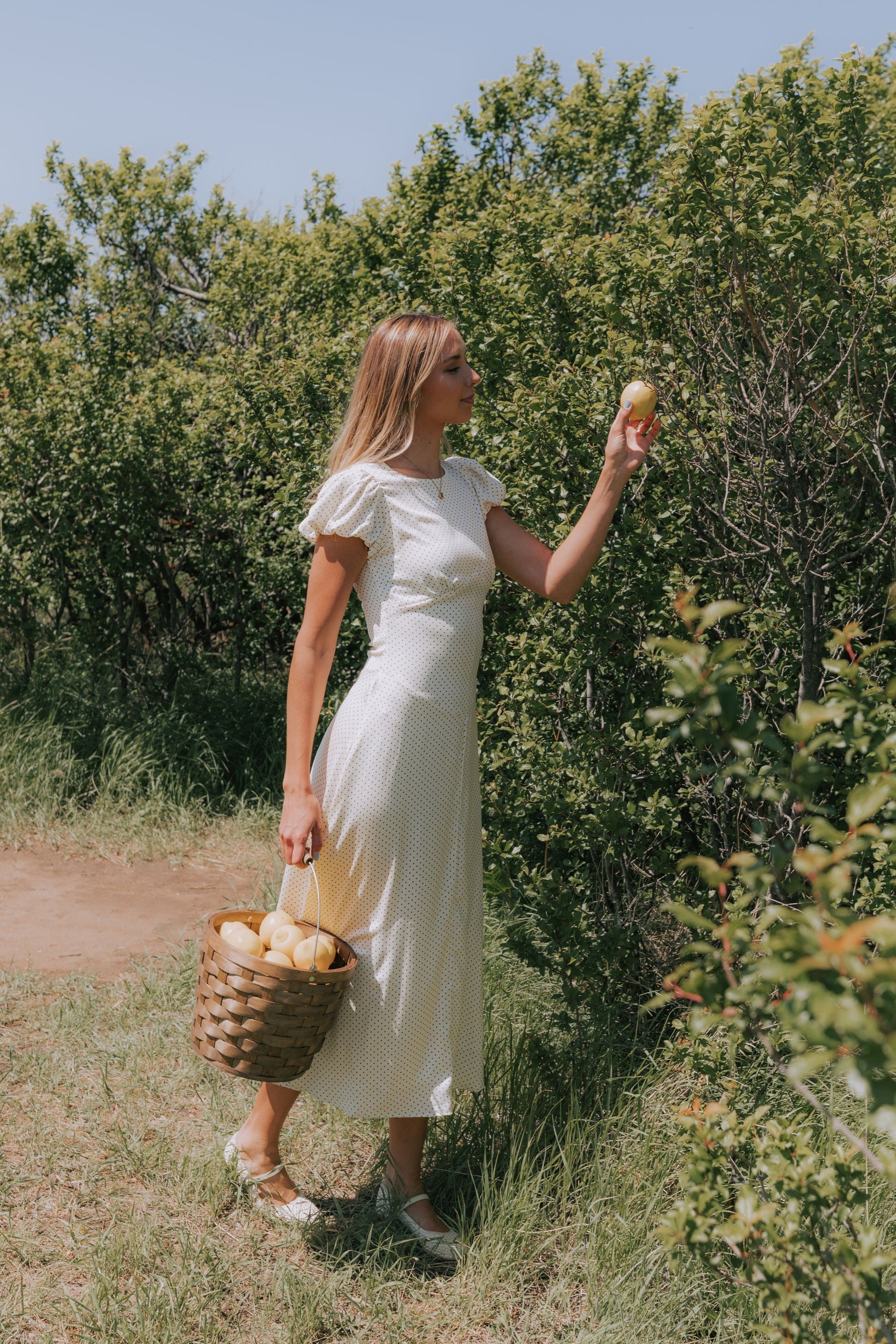 Embrace The Extraordinary Dress