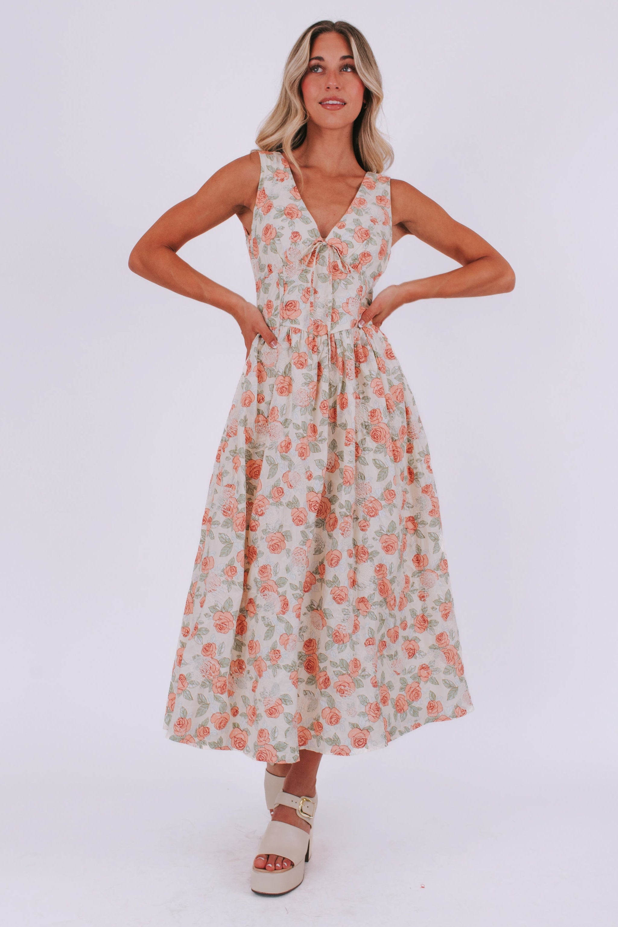 Enchanted Rose Dress