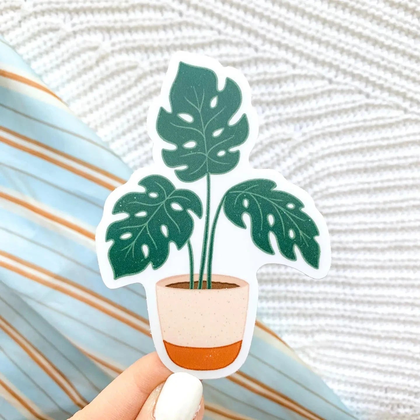 Potted Monstera Plant Sticker 