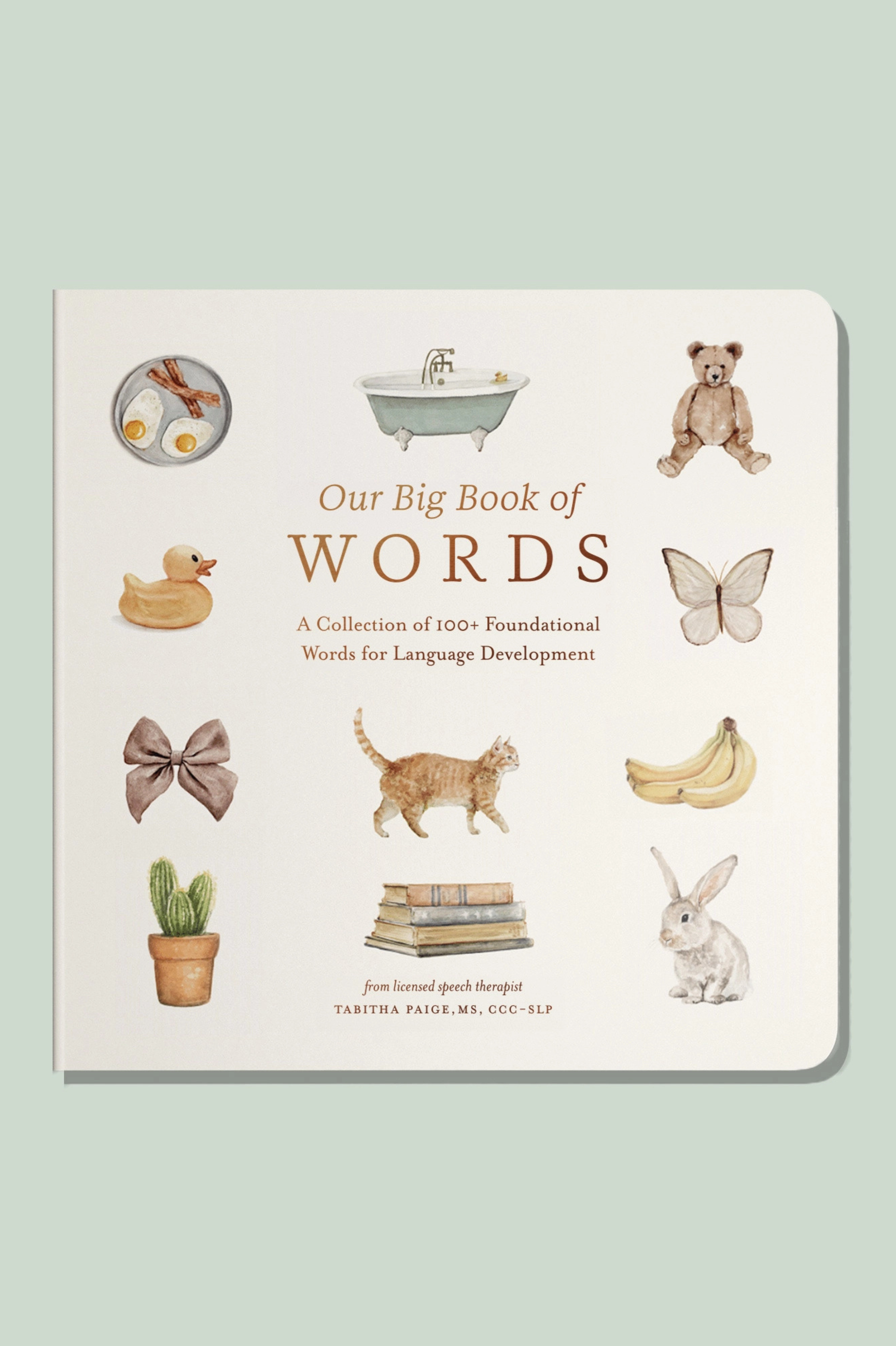 Our Big Book Of First Words