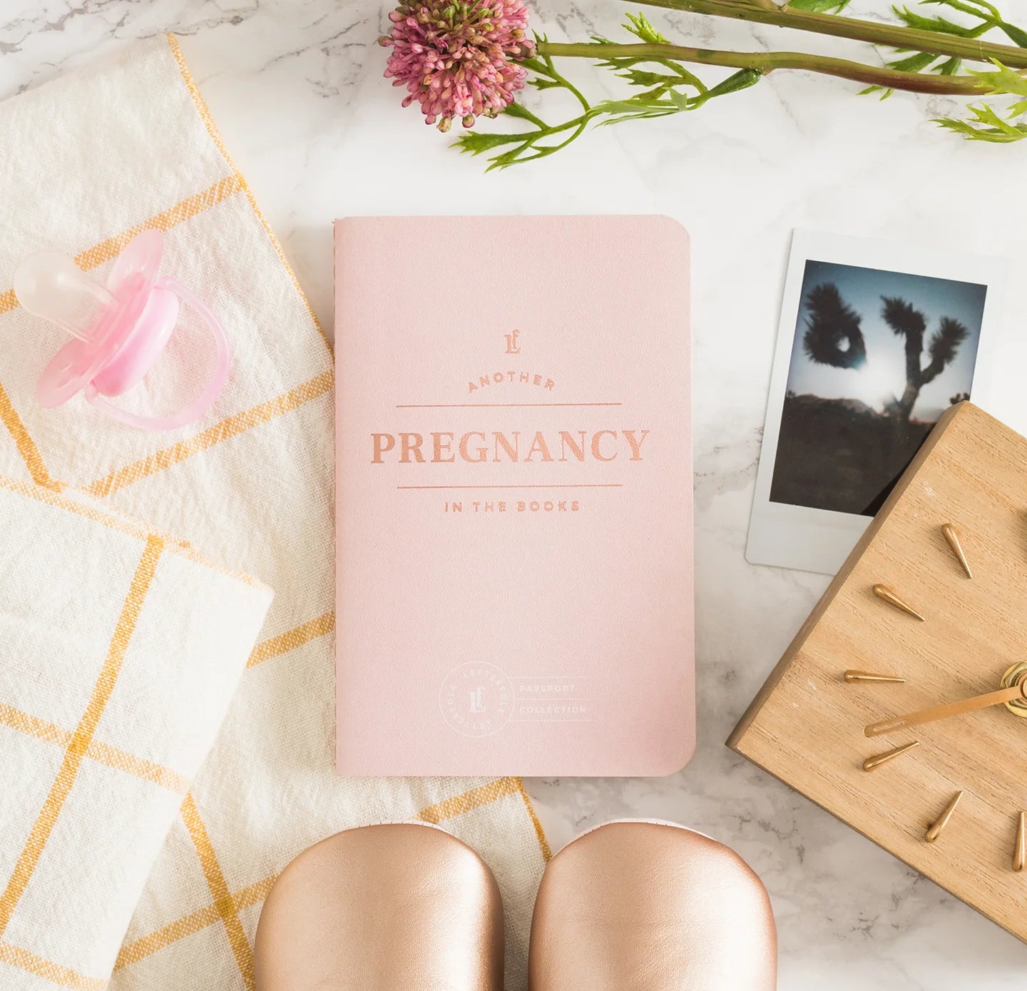 Pregnancy Passport