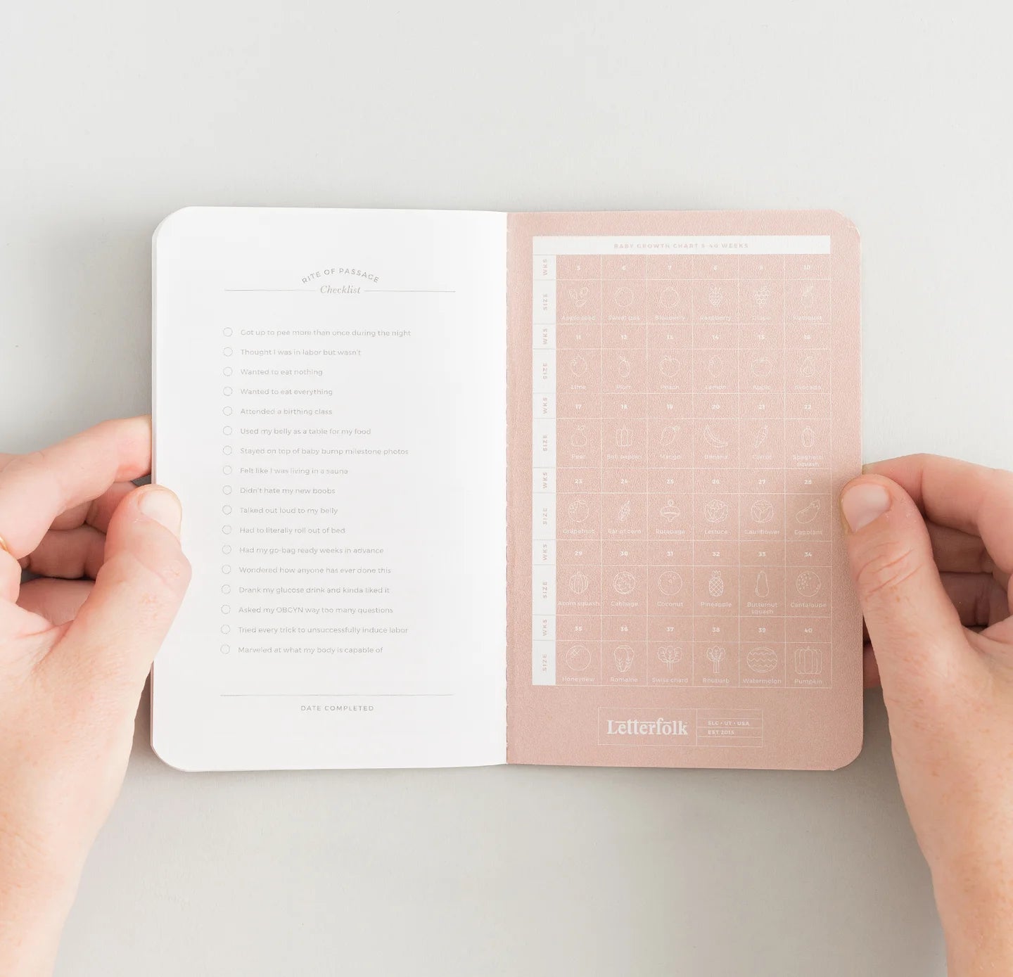Pregnancy Passport
