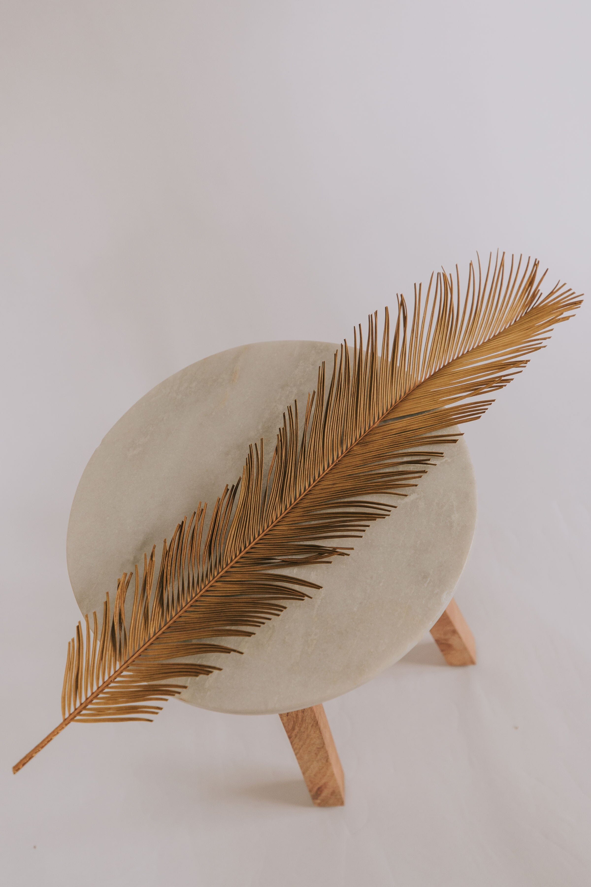 Dried Natural Cut Palm Leaf