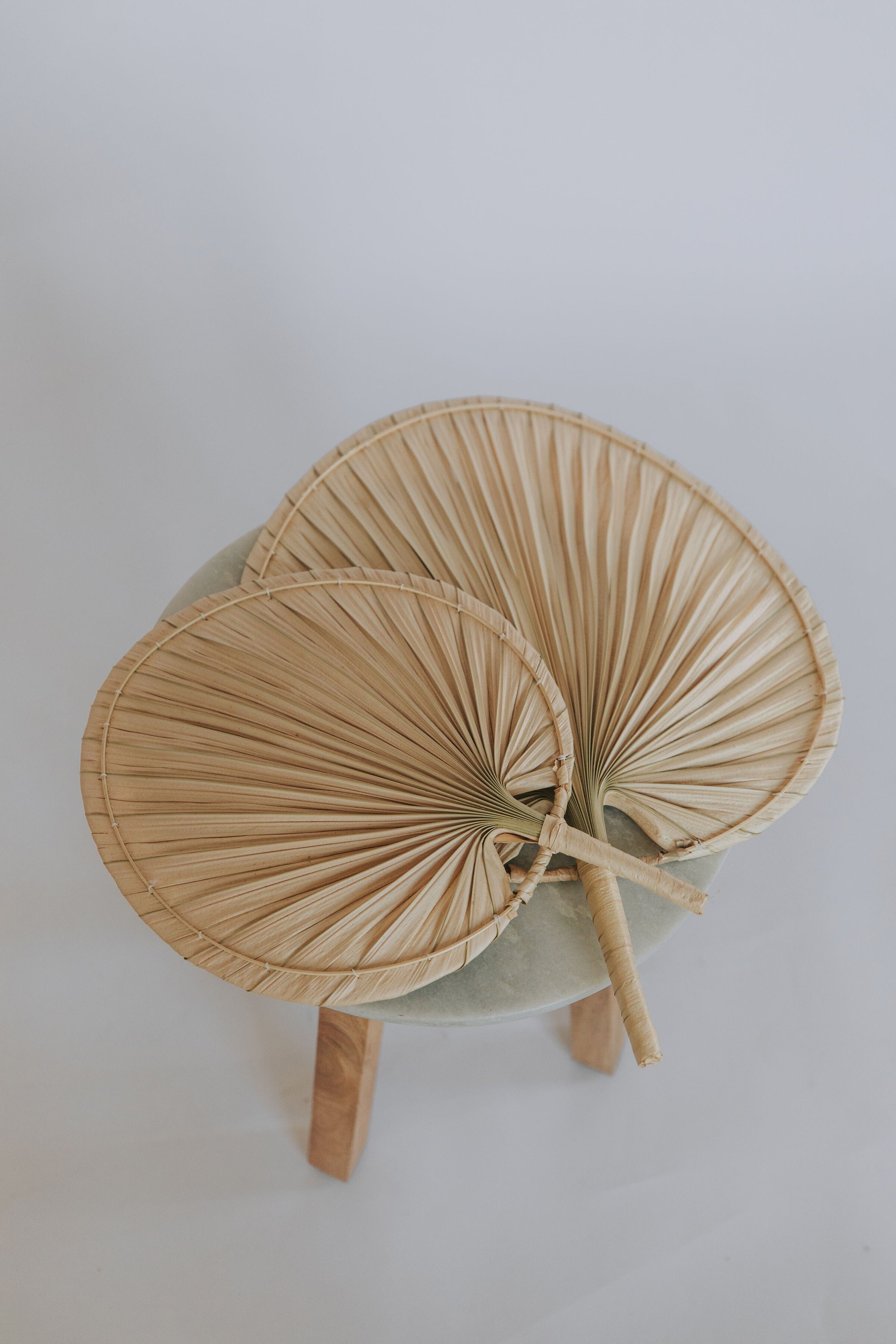 Natural Palm Leaf Fan Set