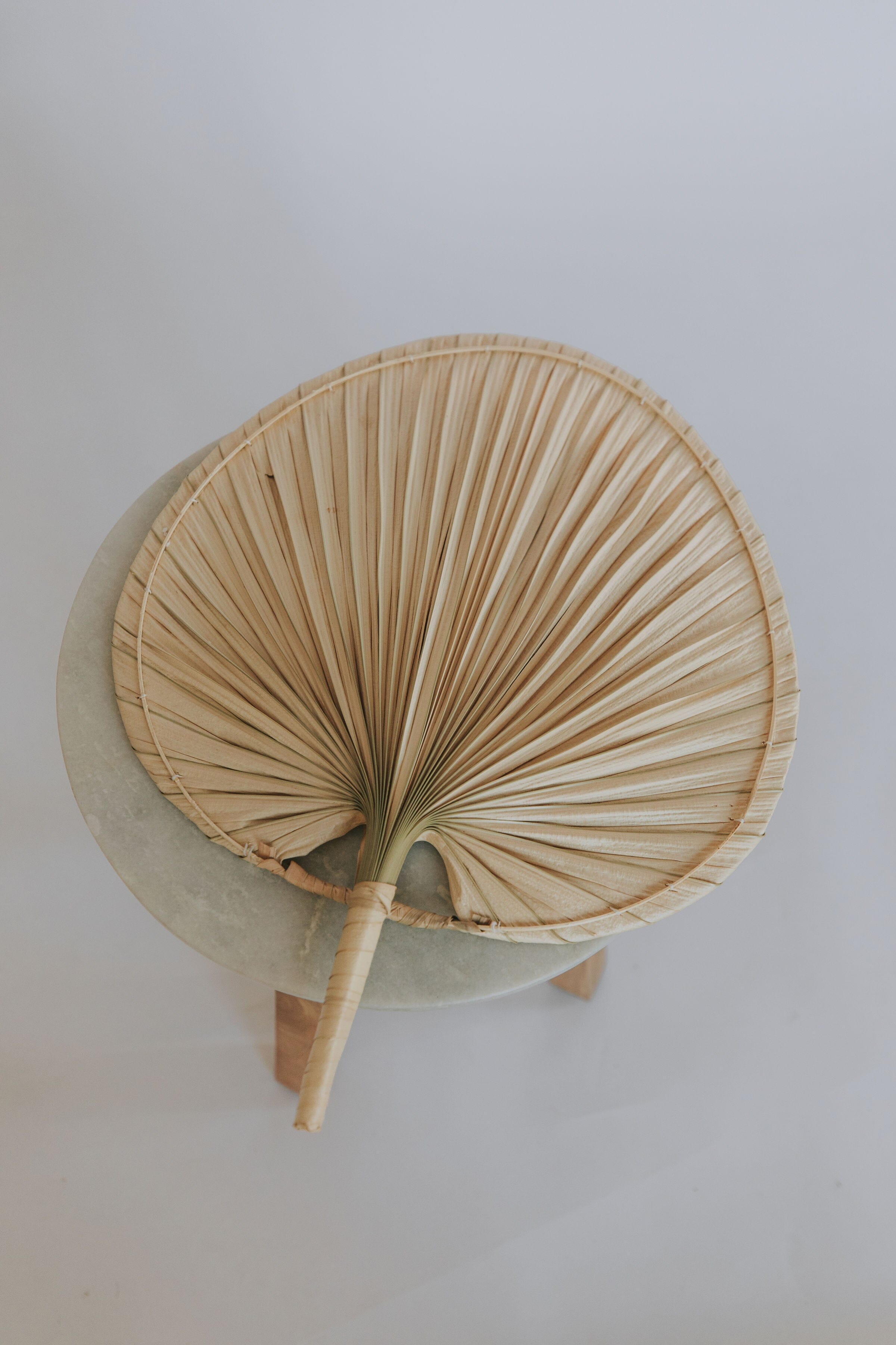 Natural Palm Leaf Fan Set
