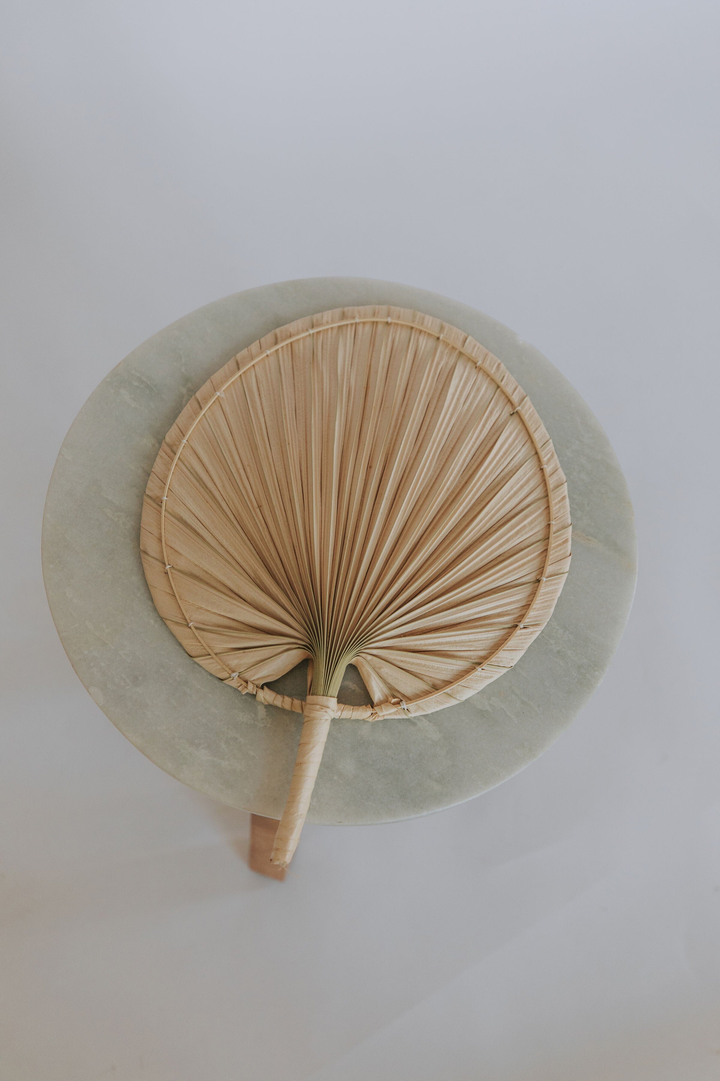 Natural Palm Leaf Fan Set