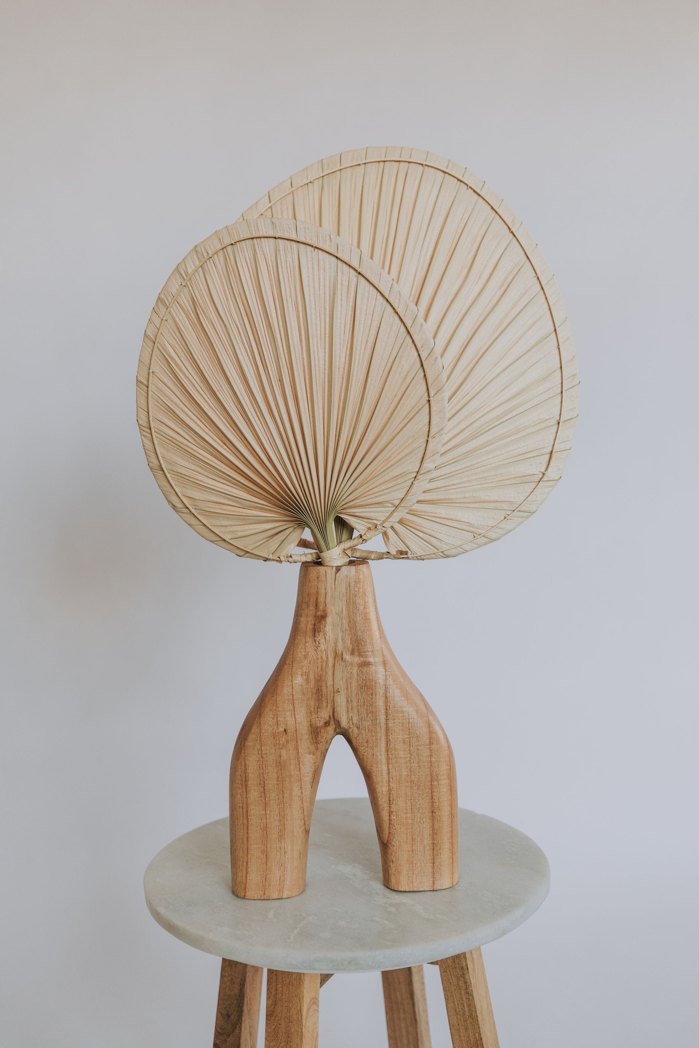 Natural Palm Leaf Fan Set
