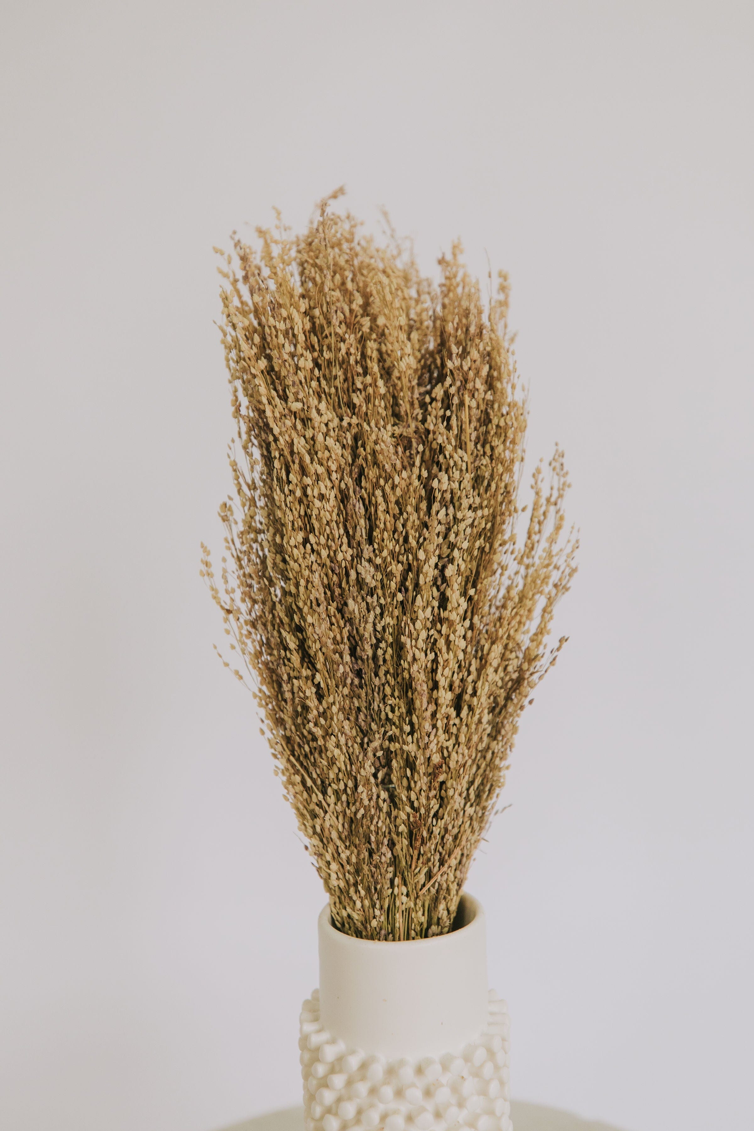 Dried Natural Star Grass Bunch